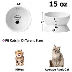 Y YHY Cat Bowls Elevated, Raised Cat Dish for Food and Water, Ceramic Water Bowl for Flat-Faced Cats or Small Dogs, No Spill,15 Ounces, Dishwasher Safe