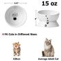 Y YHY Cat Bowls Elevated, Raised Cat Dish for Food and Water, Ceramic Water Bowl for Flat-Faced Cats or Small Dogs, No Spill,15 Ounces, Dishwasher Safe