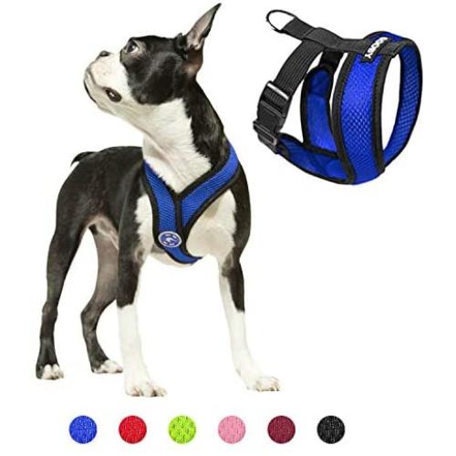 Gooby Dog Harness - Comfort X Head-in Small Dog Harness with Patented Choke-Free X Frame - Perfect on The Go No Pull Harness for Small Dogs or Cat Harness