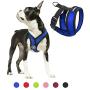 Gooby Dog Harness - Comfort X Head-in Small Dog Harness with Patented Choke-Free X Frame - Perfect on The Go No Pull Harness for Small Dogs or Cat Harness