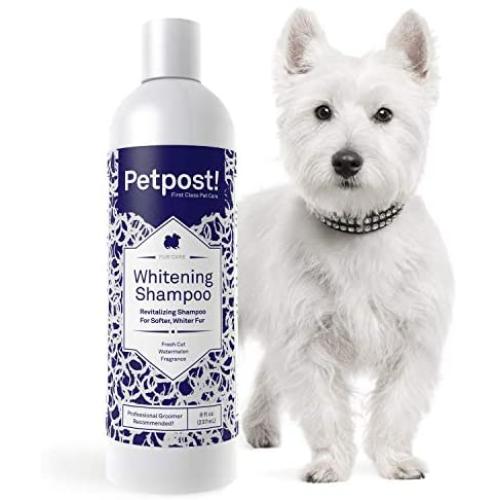Petpost | Dog Whitening Shampoo - Best Lightening Treatment for Dogs with White Fur - Soothing Watermelon Scent - Maltese, Shih Tzu, Bichon Frise Approved - 8 oz.