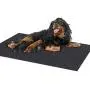 Sensko Whelping Box Liner Mat，Non-Slip Dog Pads，Washable Puppy Pads with Fast Absorbent—Protective Floor，Reusable，Premium Absorbent Urine pet Mat，Cuttable and Foldable (36''×47.6'')
