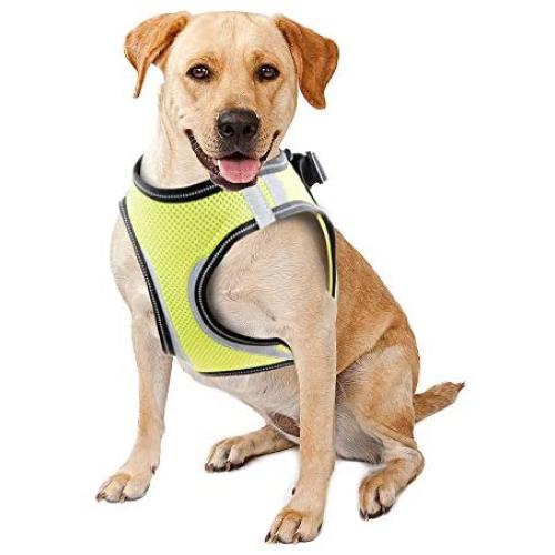 PAWISE Dog Harness No Pull Pet Reflective Mesh Soft Padded Mesh Walking Vest with 2 Leash Clips