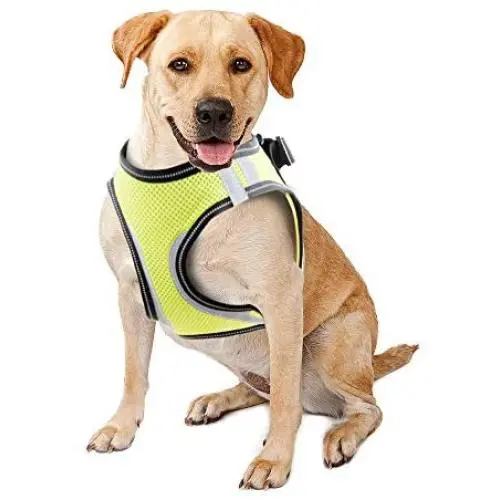 PAWISE Dog Harness No Pull Pet Reflective Mesh Soft Padded Mesh Walking Vest with 2 Leash Clips PAWISE Dog Harness No Pull Pet Reflective Mesh Soft Padded Mesh Walking Vest with 2 Leash Clips