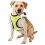 PAWISE Dog Harness No Pull Pet Reflective Mesh Soft Padded Mesh Walking Vest with 2 Leash Clips