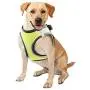 PAWISE Dog Harness No Pull Pet Reflective Mesh Soft Padded Mesh Walking Vest with 2 Leash Clips PAWISE Dog Harness No Pull Pet Reflective Mesh Soft Padded Mesh Walking Vest with 2 Leash Clips