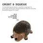 Outward Hound Hedgehogz Squeaky Dog Toy – Cuddly Soft Toy for Dogs - Durable Plush Fluffy Toy for Awesome Pets