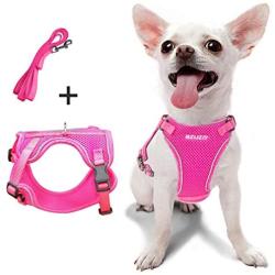 azuza Puppy Harness and Leash Set, Reflective Air Mesh Dog Vest Harness, All Weather Comfort Dog Harness for Small Dogs