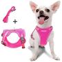 azuza Puppy Harness and Leash Set, Reflective Air Mesh Dog Vest Harness, All Weather Comfort Dog Harness for Small Dogs