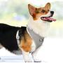 Onlylover Puppy Harness and Leash Set - Soft Mesh Breathable Full Body Vest Harness for Small Medium Dog Adjustable Reflective Safety for Easy Walk Outdoor,Comfort Fit Kittens Small Animals
