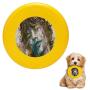 Pet Frisbee Flying Disc Dog Toy - Multifunction Gimmie Shelter Paul Lovering