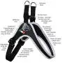 Tre Ponti Fibbia Small Dog Harness with Adjustable Belly Strap, 3.5 cm, Red