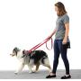 Blue-9 Pet Products Lead Multi-Function Dog Leash, Double Attachment 6 Foot Adjustable Leash for Dogs