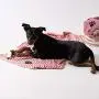 Bone Dry Embroidered Pet Towel Bone Dry Embroidered Pet Towel