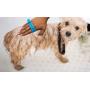 Mind Reader Pet Washing Tool, Scrubber and Sprayer Glove, Flexible Hose Attachment for Cats and Dogs, Indoor or Outdoor Use, Fits All Hand Sizes, Blue