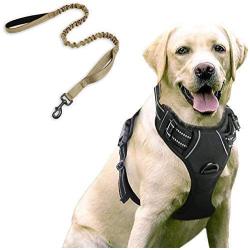 rabbitgoo Dog Harness & Tactical Bungee Dog Leash - Adjustable No Pull Soft Padded Dog Vest with Leash Clips (L) | Safety and Comfort Elastic Leads Rope for Military Dog Training