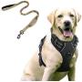 rabbitgoo Dog Harness & Tactical Bungee Dog Leash - Adjustable No Pull Soft Padded Dog Vest with Leash Clips (L) | Safety and Comfort Elastic Leads Rope for Military Dog Training
