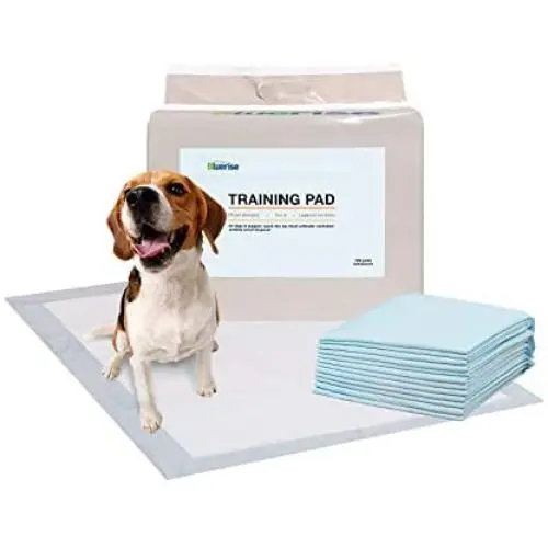 Bluerise Potty Pads for Dogs Quick Drying Puppy Pads Pet Traning Pads Super Absorbent Pee Pads for Dogs Dog Pads for Small Dogs 22 x 22 100 Counts