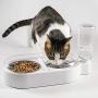 Qucey Double Cat Dog Bowls Pet Automatic Water Dispenser Detachable Bowl No-Spill Pet Food Water Bowls Feeder for Cats and Small Dog