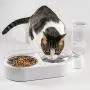 Qucey Double Cat Dog Bowls Pet Automatic Water Dispenser Detachable Bowl No-Spill Pet Food Water Bowls Feeder for Cats and Small Dog Qucey Double Cat Dog Bowls Pet Automatic Water Dispenser Detachable Bowl No-Spill Pet Food Water Bowls Feeder for Cats and Small Dog