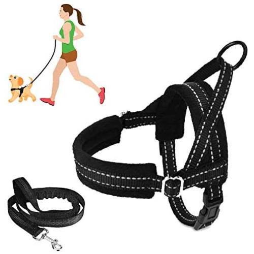 SlowTon No Pull Small Dog Harness and Leash, Heavy Duty Easy for Walk Vest Harness Soft Padded Reflective Adjustable Puppy Harness Anti-Twist Pet Lead Quick Fit for Small Dog Cat Animal