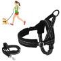 SlowTon No Pull Small Dog Harness and Leash, Heavy Duty Easy for Walk Vest Harness Soft Padded Reflective Adjustable Puppy Harness Anti-Twist Pet Lead Quick Fit for Small Dog Cat Animal