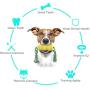 Nooyi Dog Rope Toys Corn Dog Toy Tough Durable Dog Toothbrush Chew Toys, Teeth Cleaning Corn Stick, Bite Resistant TPR Teeth Cleaning Dental Oral Care for Dogs Pets