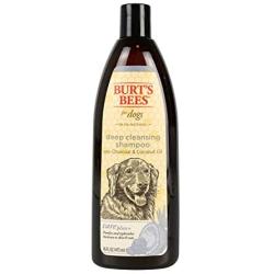 Burts Bees Care Plus+ Deep Cleansing Charcoal & Coconut Oil Shampoo for Dogs | Purifies & Replenishes | 16 oz