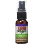 KONG Catnip Spray add Life to Old cat Toys