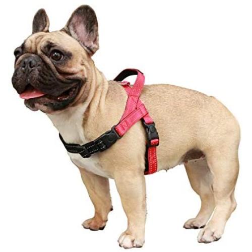 iChoue Dog Harness Easy On and Off Adjustable Harness Lightweight Harness with Handle for Small and Medium Dogs