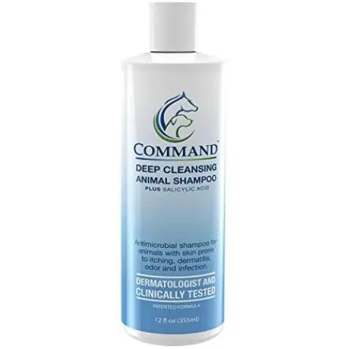 Hypoallergenic Anti-Itch Medicated Dog Shampoo with Salicylic Acid - For Deep-Cleansing Sensitive, Itchy Dog and Puppy Skin and Hair - Dog Wash and Dog Odor Eliminator Shampoo – Made in the USA Hypoallergenic Anti-Itch Medicated Dog Shampoo with Salicylic Acid - For Deep-Cleansing Sensitive, Itchy Dog and Puppy Skin and Hair - Dog Wash and Dog Odor Eliminator Shampoo – Made in the USA