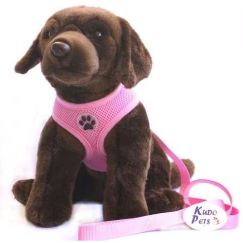 KUDO PETS Soft Mesh Dog Harness with Leash - Multiple Sizes & Colors