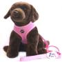 KUDO PETS Soft Mesh Dog Harness with Leash - Multiple Sizes & Colors