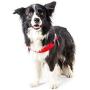 Julius-K9 IDC Innova Dog Comfort Red Belt Harness