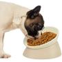 Petdoer Bulldog Bowl Slanted Tilted Elevated Raised Non Slip No Spill Food Water Pet Feeder Dish for Flat Faced Dogs, Frenchie, Pug, Cat, Puppy, Shih Tzu (White)