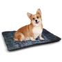 DayDayFun Gothic Cute Pattern Pet Mat Ancient Pentagram Symbol and Red Curtains in Mystical Medieval Chamber Spiritual Theme pet Bed for Crate Brown