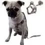 Dog Harness for Small Dogs with Leash Easy Walk No Pull Soft Comfortable Fabric Geometric Pattern (L(Width 0.98'' Chest 21.6-30.7'' 58-74lb), Geometric Pattern) Dog Harness for Small Dogs with Leash Easy Walk No Pull Soft Comfortable Fabric Geometric Pattern (L(Width 0.98'' Chest 21.6-30.7'' 58-74lb), Geometric Pattern)