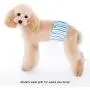 Alfie Pet - Gaki Belly Band 3-Piece Set - Size: M (for Boy Dogs)