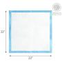 American Kennel Club AKC Training Pads AKC 63860, ''22'''' x 22'''' - pack of 150''