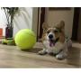 Apofly 1PC Tennis Balls Dog Balls, Dog Tennis Balls Dog Puppy Thrower Chucker Toy Ball Sport Play for Lessons Practice Throwing Machines