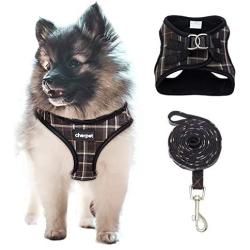 CHERPET Puppy Harness and Leash Set - Plaid Cute Adjustable Small Dog Fulll Body Vest Escape Proof Safety No Pull Halter Mesh Breathable Soft for Easy Walk Outdoor,Comfort Fit Kittens Small Animals