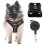 CHERPET Puppy Harness and Leash Set - Plaid Cute Adjustable Small Dog Fulll Body Vest Escape Proof Safety No Pull Halter Mesh Breathable Soft for Easy Walk Outdoor,Comfort Fit Kittens Small Animals