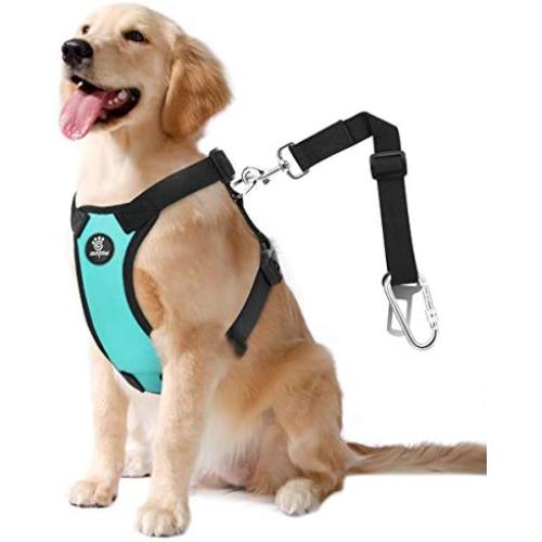 VavoPaw Dog Vehicle Safety Vest Harness, Adjustable Soft Padded Mesh Car Seat Belt Leash Harness with Travel Strap and Carabiner for Most Cars