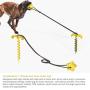 Dog Tie Out Cable and Stake, 10.19'' Sturdy Stake for Dog Tie Out with Dog Chew Toy and Elasticity Dog Chain for Camping Backyard, Great for Small Medium Large Dogs Up to 120 lbs