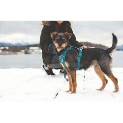 RC Pet Products Momentum Dog Harness