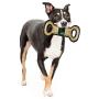 NBA DOG TOYS. Best Selection of Licensed Basketball PET TOYS, Tube Toys, Field Toys, Sneakers, Plush Basketballs, Tennis Balls, Mascot toys, Nylon Basketballs with ropes & Squeakers for DOGS & CATS