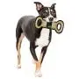 NBA DOG TOYS. Best Selection of Licensed Basketball PET TOYS, Tube Toys, Field Toys, Sneakers, Plush Basketballs, Tennis Balls, Mascot toys, Nylon Basketballs with ropes & Squeakers for DOGS & CATS NBA DOG TOYS. Best Selection of Licensed Basketball PET TOYS, Tube Toys, Field Toys, Sneakers, Plush Basketballs, Tennis Balls, Mascot toys, Nylon Basketballs with ropes & Squeakers for DOGS & CATS