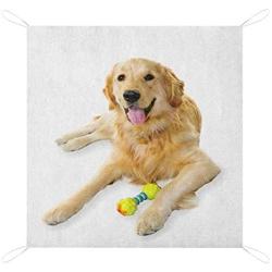 Nomorer Golden Retriever Outdoor Blanket Waterproof, Pet Dog Laying Down with Toy Friendly Domestic Puppy Playful Companion Light Picnic Blanket, 60'' x 57'', Multicolor