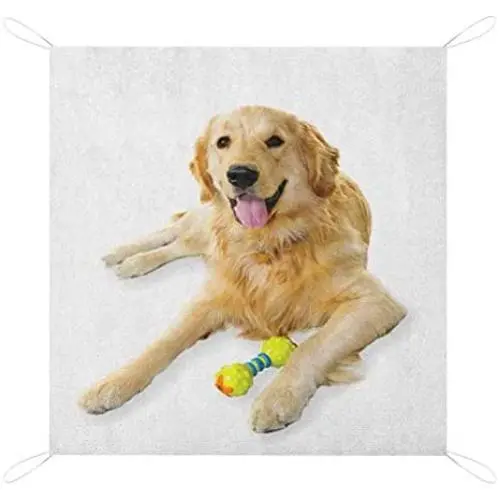 Nomorer Golden Retriever Outdoor Blanket Waterproof, Pet Dog Laying Down with Toy Friendly Domestic Puppy Playful Companion Light Picnic Blanket, 60'' x 57'', Multicolor Nomorer Golden Retriever Outdoor Blanket Waterproof, Pet Dog Laying Down with Toy Friendly Domestic Puppy Playful Companion Light Picnic Blanket, 60'' x 57'', Multicolor