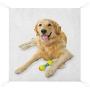 Nomorer Golden Retriever Outdoor Blanket Waterproof, Pet Dog Laying Down with Toy Friendly Domestic Puppy Playful Companion Light Picnic Blanket, 60'' x 57'', Multicolor